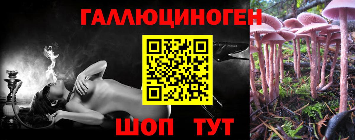 Галлюциногенные грибы мухоморы Вязьма